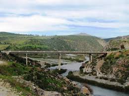 Puente Cavilolen