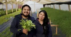 jóvenes practicando agricultura sustentable