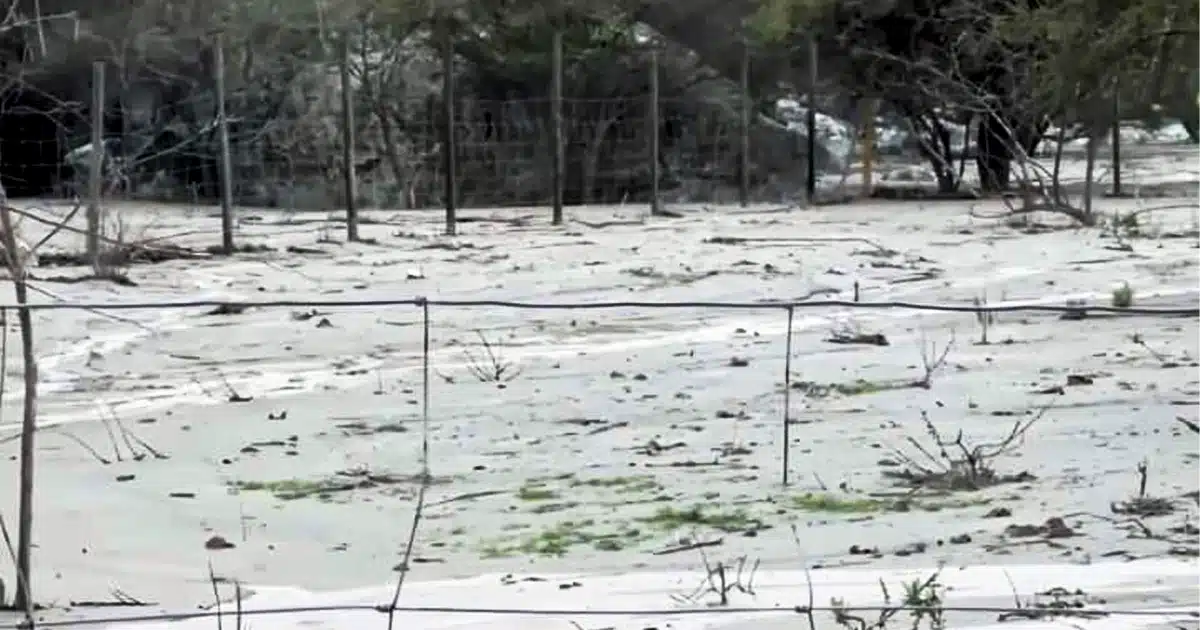 Escurrimiento de Relave desde el Tranque El Mauro de Minera Los Pelambres, sector de Caimanes, comuna de Los Vilos