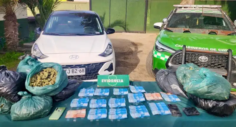 12 kilogramos de marihuana en ruta 5, los vilos