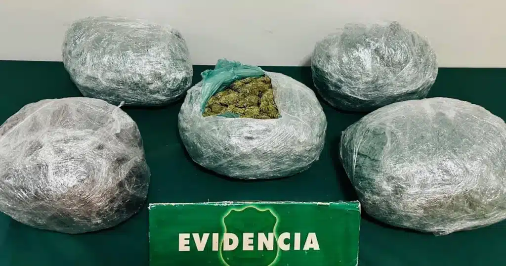 decomiso de droga marihuana canabis
