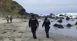 Búsqueda pescador caleta Maitencillo, Canela