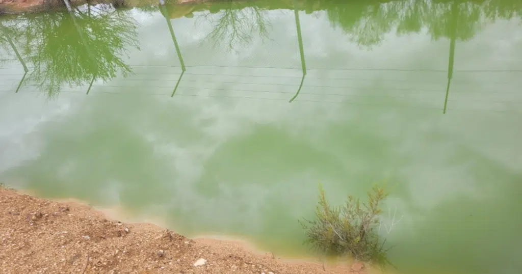 agua contaminada estero quilmenco Salamanca